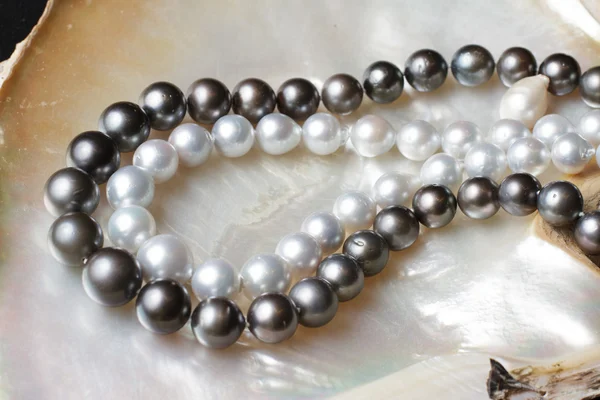 White pearl necklaces and black pearl necklaces on pearl shell