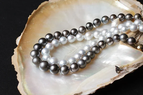 White pearl necklaces and black pearl necklaces on pearl shell