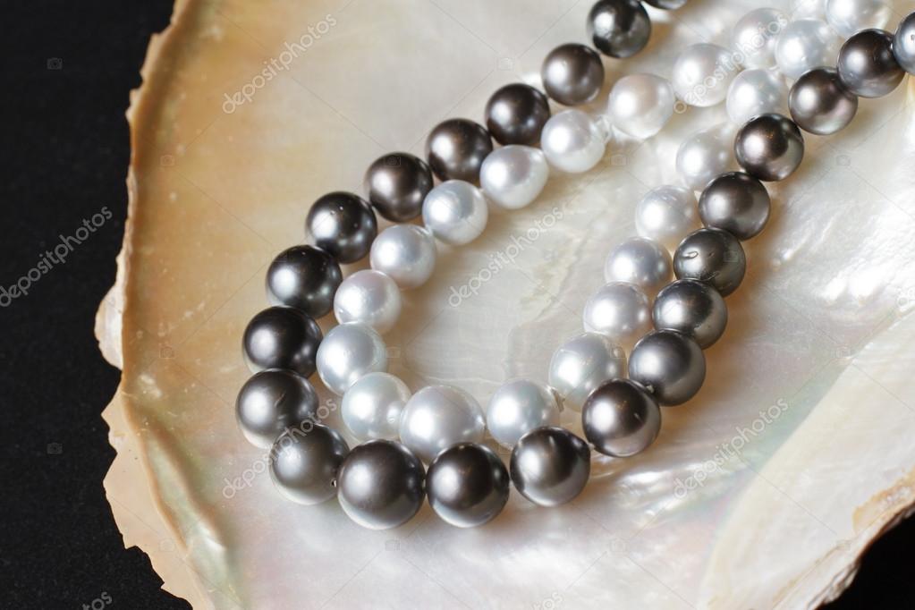 Collares de perlas blancas y collares de perlas negras en la concha de nacar \u2013 Imagen de stock