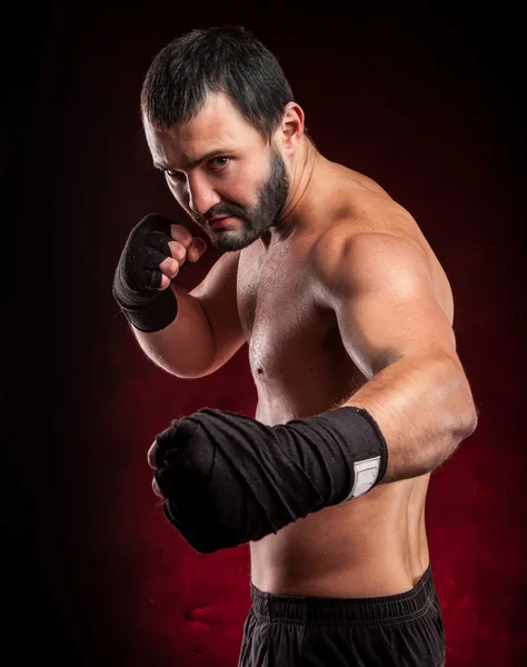 Muscular boxer in studio shooting