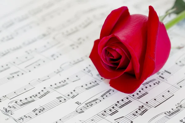 Red rose on a musical score