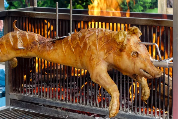 Spit roasted suckling pig on a market stall in Bergamo