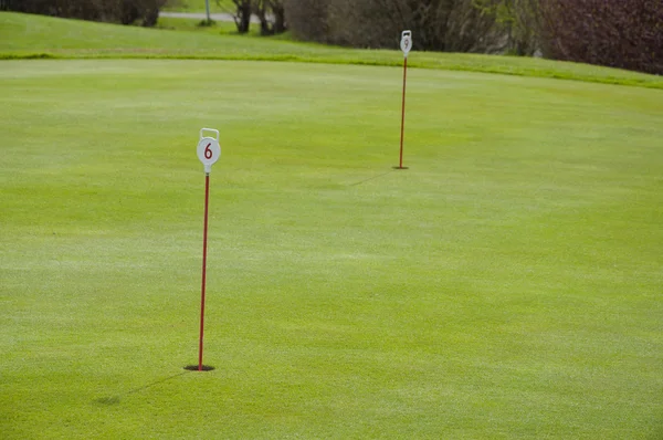 Golf green closeup