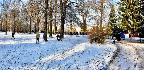 Snowy walk in park