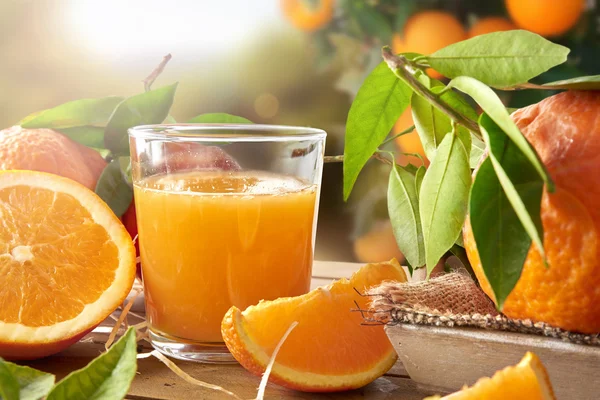 Glass of orange juice on a wooden in field closeup