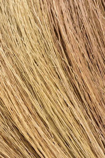 Broom stick grass texture close up view background