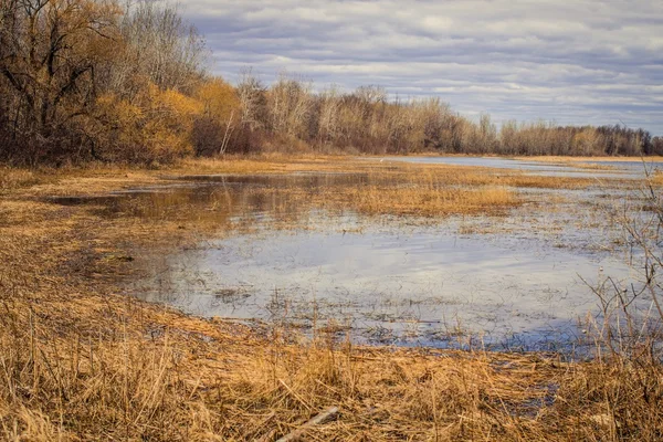 Great Lakes Coastal Wetland Habitat