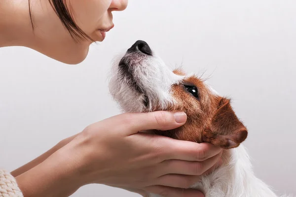 Closeup portrait handsome young hipster woman, kissing her good friend dog on grey background.