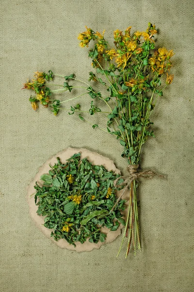 Tutsan.Dried. Herbal medicine, phytotherapy medicinal herbs.