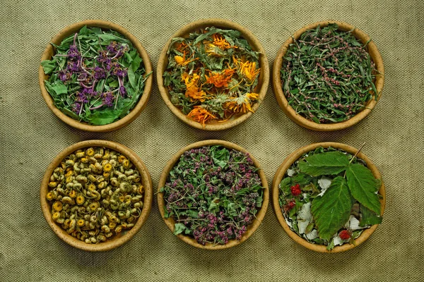 Dried. Herbal medicine, phytotherapy medicinal herbs.