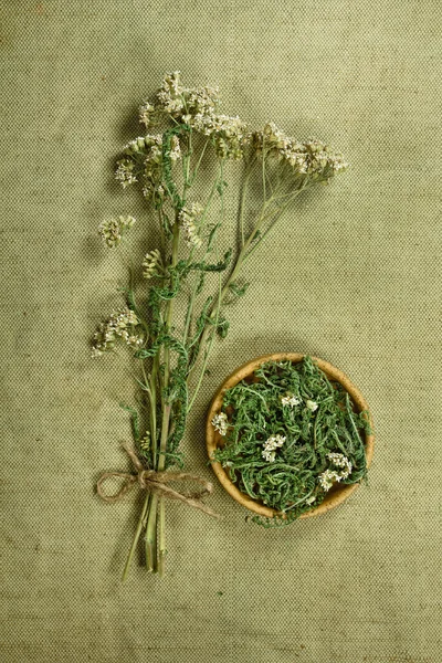 Yarrow.Dried. Herbal medicine, phytotherapy medicinal herbs.