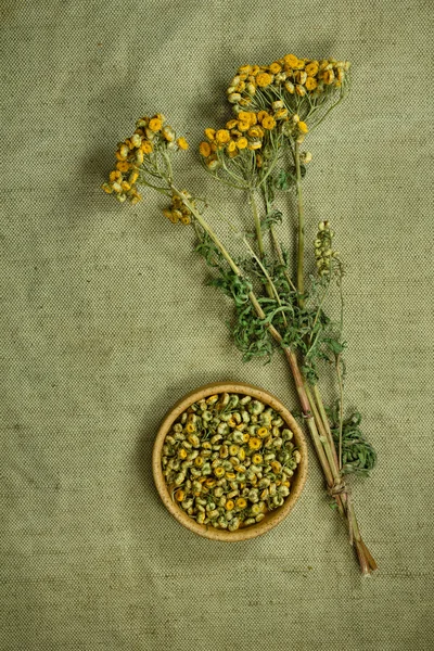 Tansy.Dried. Herbal medicine, phytotherapy medicinal herbs.
