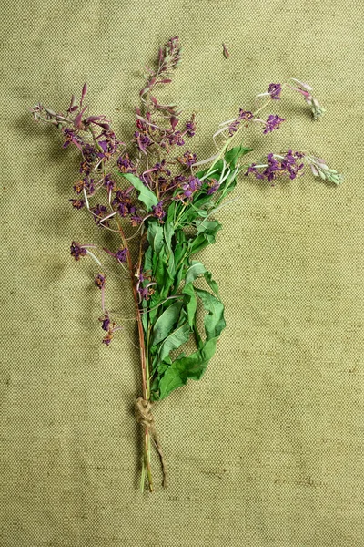 Fireweed.Dried herbs. Herbal medicine, phytotherapy medicinal he