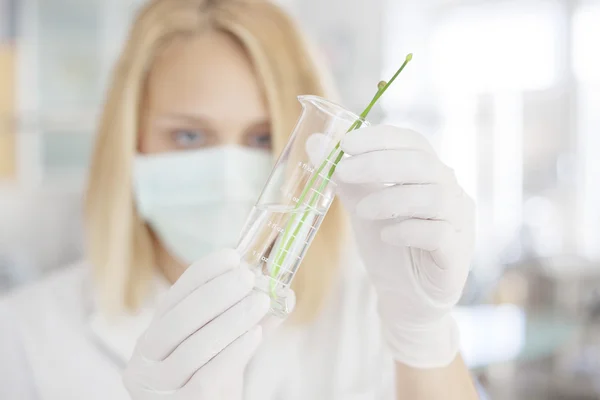 Young scientist in life science laboratory