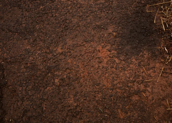 Dirt textured background