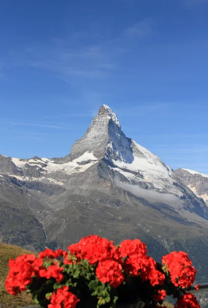 Matterhorn mountain in spring