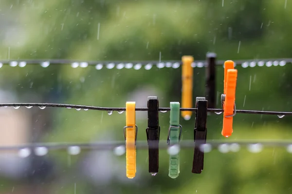 Clothespins in the rain