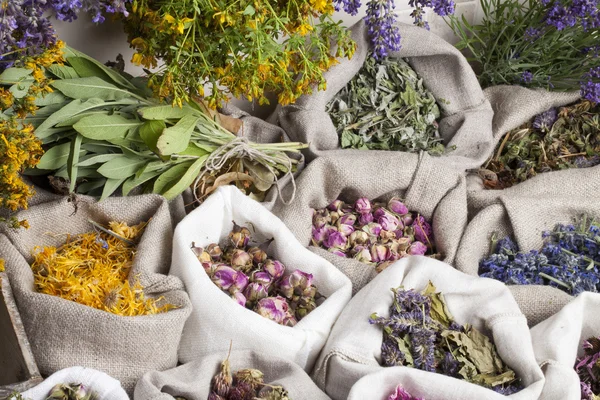 Healing medical herbs