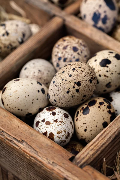 Fresh quail eggs in a vintage wooden box.