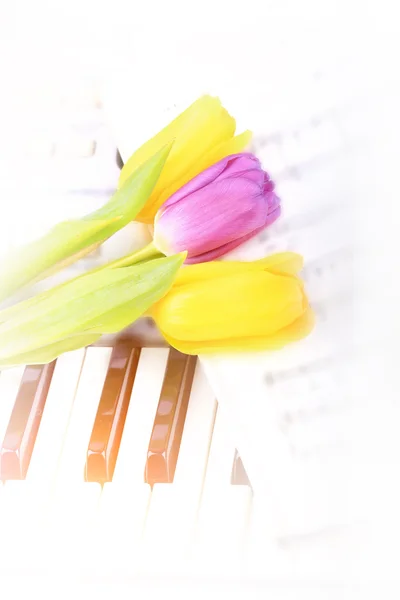 Piano keys Tulip flowers gentle spring retro vintage style music background