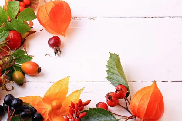 Autumn berries for tea on a white wooden background rosehip rowan hawthorn sea buckthorn black chokeberry