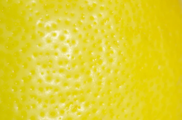 Lemon skin texture background
