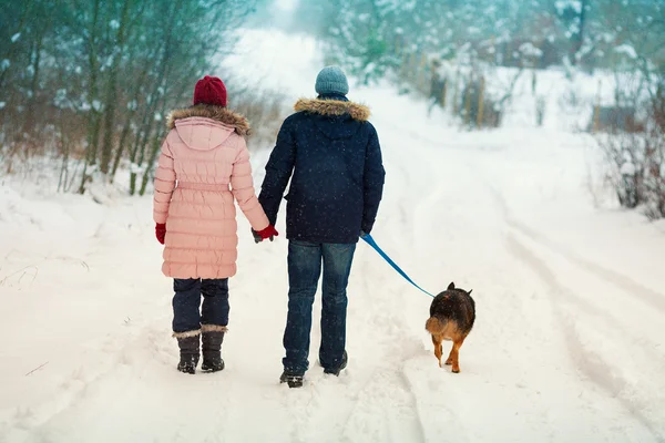 Young couple walking with dog