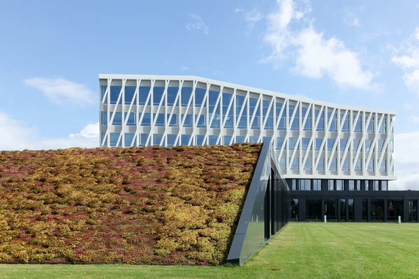 City hall of Viborg in Denmark