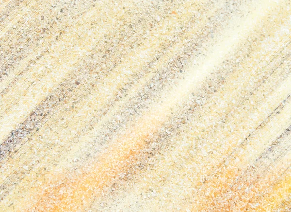 Rays of sun on sand shells, sand summer background, sun background