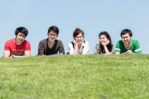 Group of friends studying outdoors in park at school.Five Asian