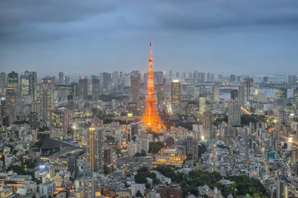 Tokyo tower in night in Tokyo city, Japan