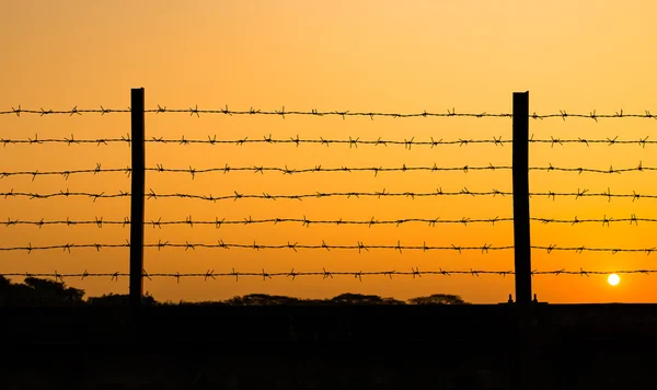 Barbed wire silhouette