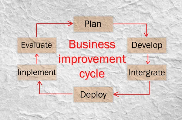 Business improvement cycle process.