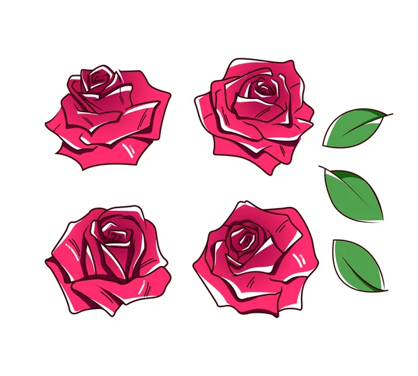 Roses draw vector illustration. Elements design flower roses.
