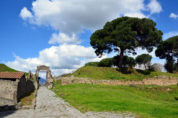 Old gate in the pompei city excavation italy