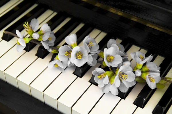 Condolence card - flower on piano