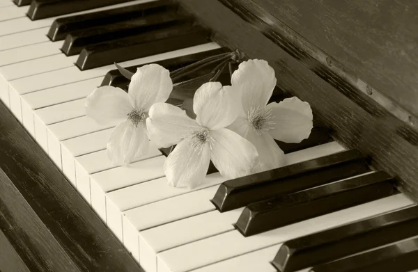 Condolence card - flowers on piano