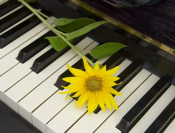 Condolence card - yellow flower on piano