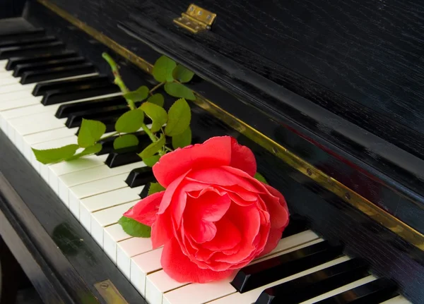 Condolence card - roses on piano