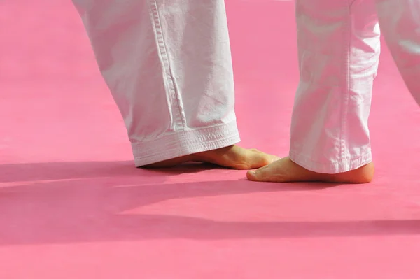 Judo karate sport