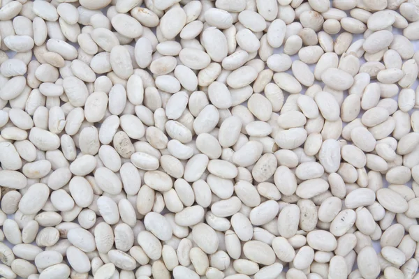White beans texture background