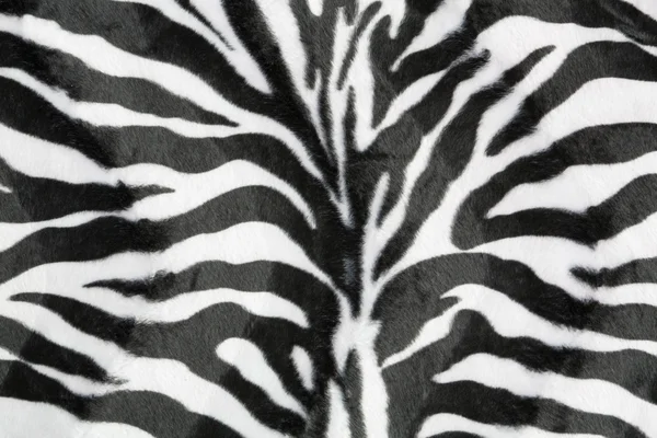 Zebra texture background