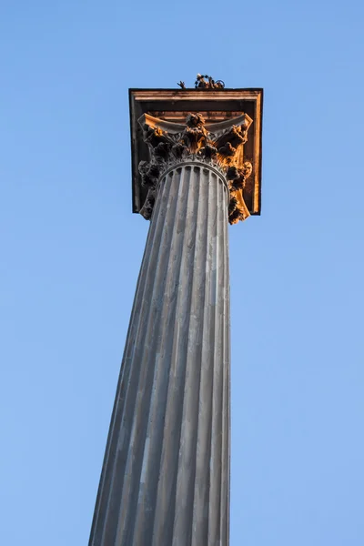 Column with Corinthian Capital in Sunset