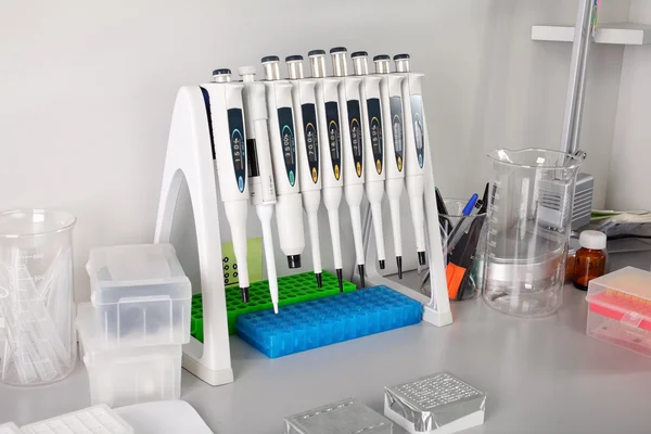 Set for the study (table with instruments, pipettes and samples)