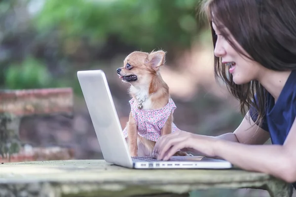 Young happy woman with her dog and laptop