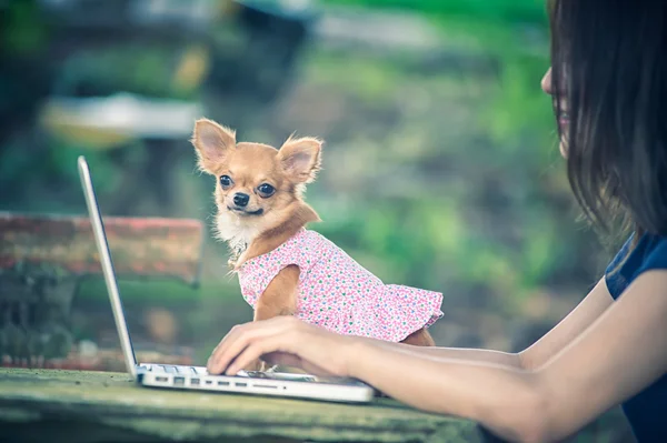 Young happy woman with her dog and laptop