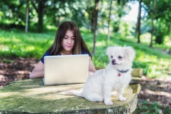 Young happy woman with her dog and laptop