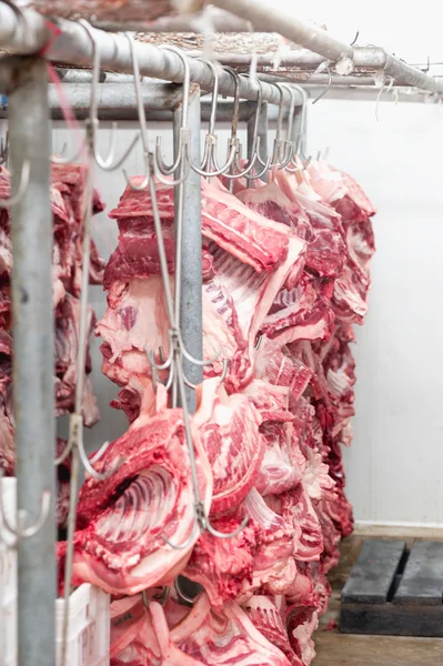 Butcher products. Processed pigs hanging in slaughter house