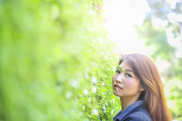 Portrait asia young woman happy and smile on Doi tung garden, Dh