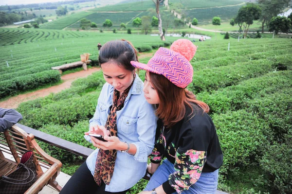 Two asia beautiful Woman with telephon at tea farm